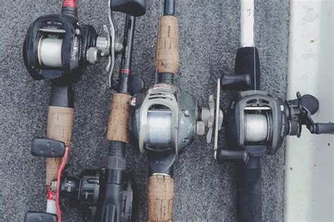 The Perfect Fishing Rod Size [For Each Species & Technique].